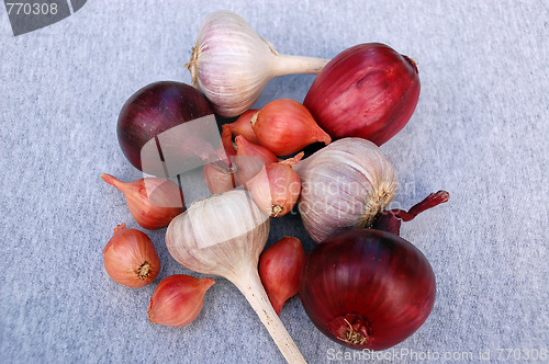 Image of Garlic And Onion Bulbs