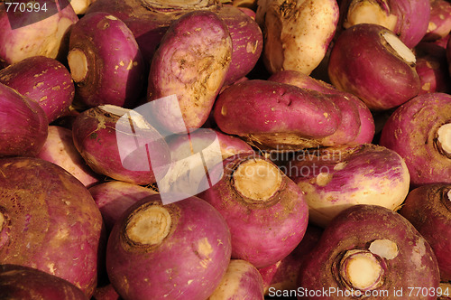 Image of Radish