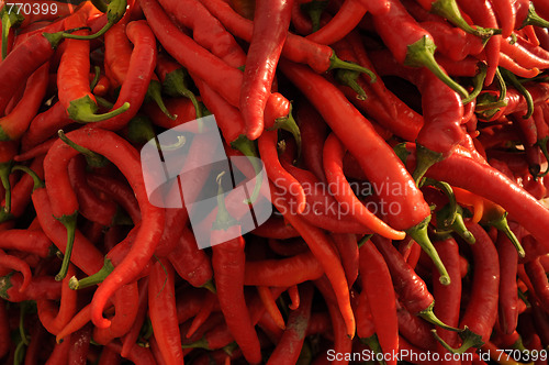 Image of Red Chili Pepper