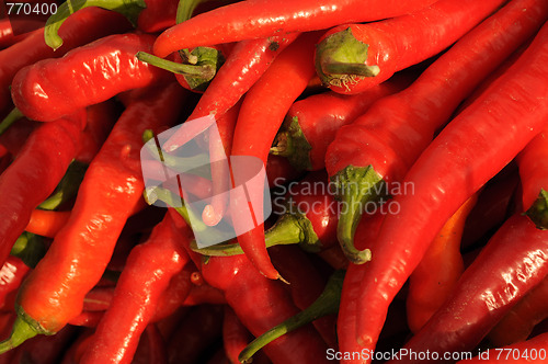 Image of Red Chili Pepper