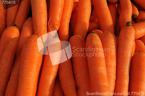 Image of Carrots