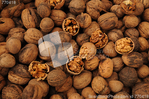 Image of Walnut