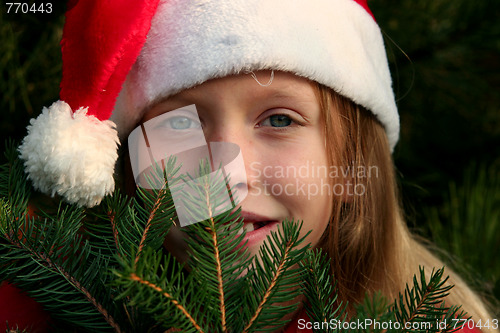 Image of Christmas girl 