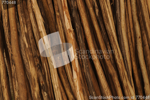 Image of Logs