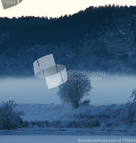 Image of Winter landscape