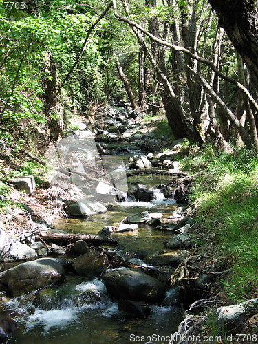 Image of River green. Platres. Cyprus