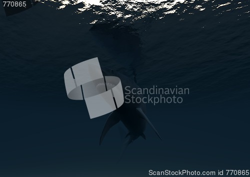 Image of Undersea Shark 