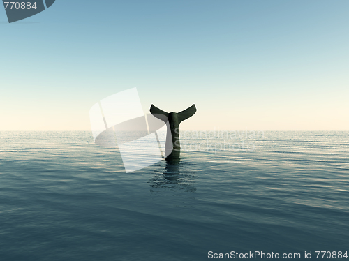 Image of Whale Tail