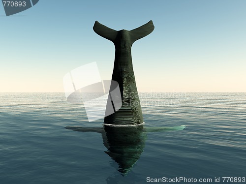 Image of Whale Tail