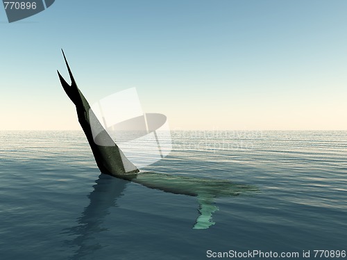 Image of Whale Tail