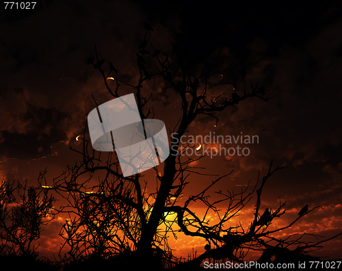 Image of Birds On Tree With Sunset Background