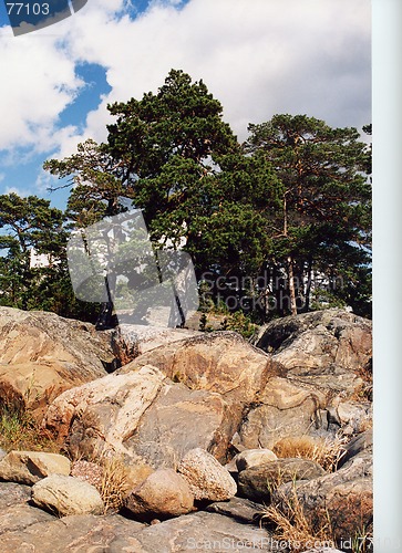 Image of rocks