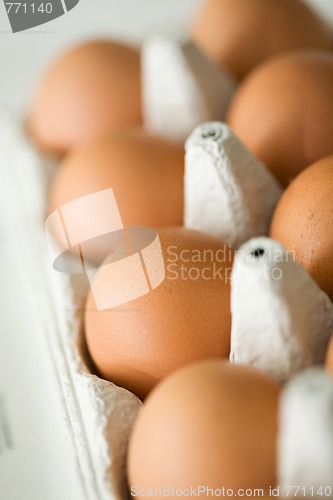 Image of Fresh brown eggs