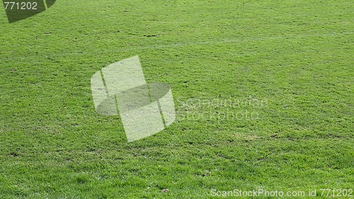 Image of Meadow