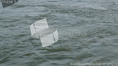 Image of Water