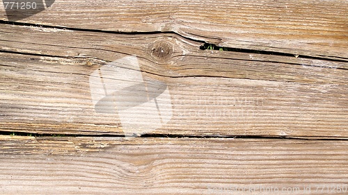 Image of Wood