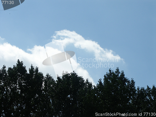 Image of Unusual Cloud