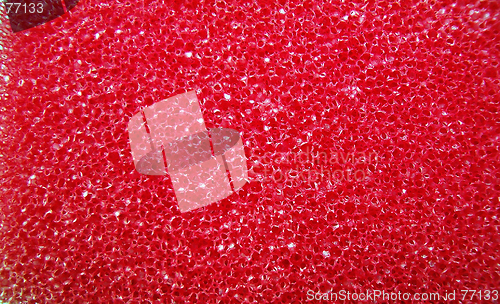 Image of Red spongy background