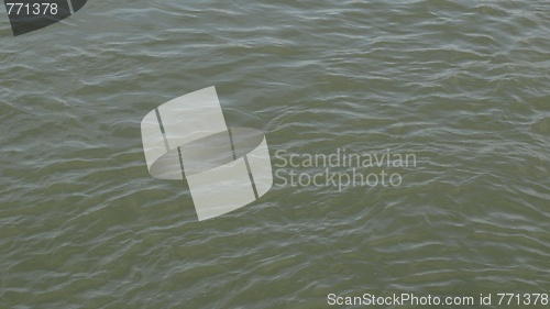 Image of Water