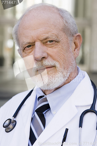 Image of Portrait of Doctor