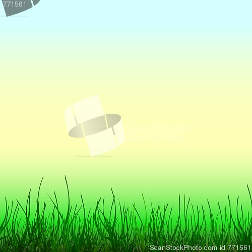 Image of Abstract light background with green grass