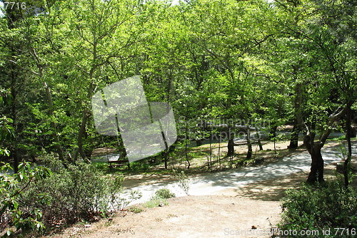Image of Forest park. Platania. Cyprus