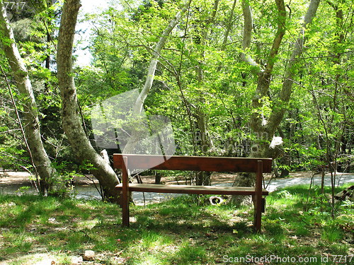 Image of Bench in the forest. Platania. Cyprus
