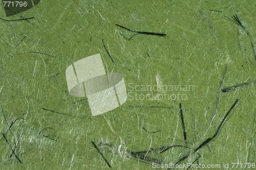 Image of Paper