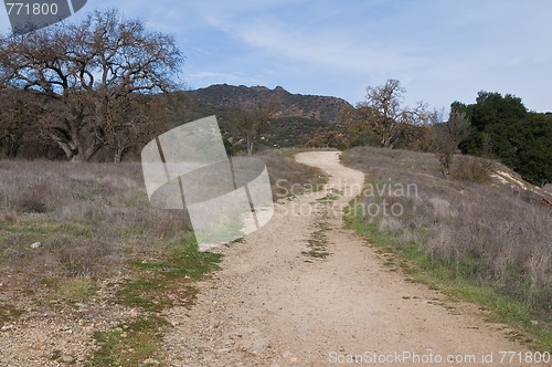 Image of Trail