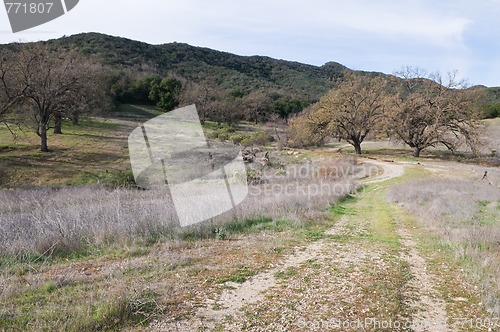Image of Trail