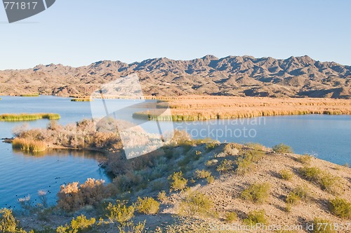 Image of Lake Havasu