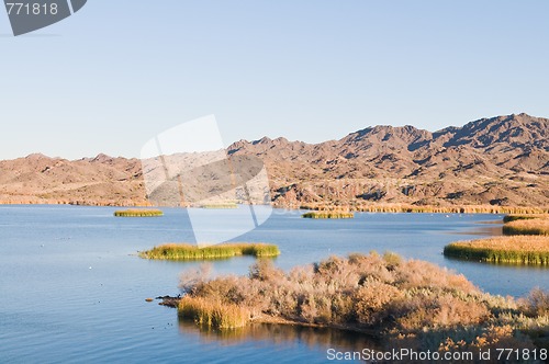 Image of Lake Havasu