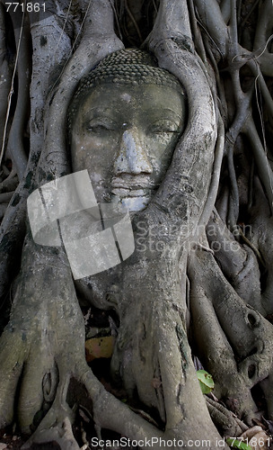 Image of Ancient buddha head