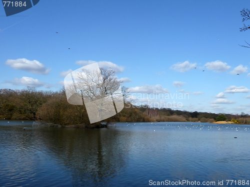 Image of Hainault Forest Water