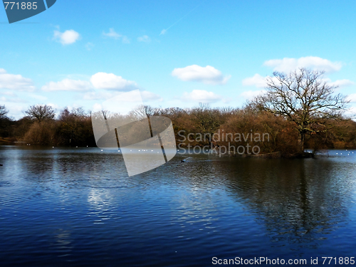 Image of Hainault Forest Water