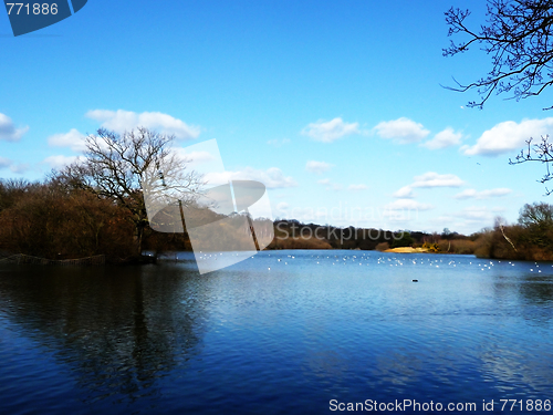 Image of Hainault Forest Water