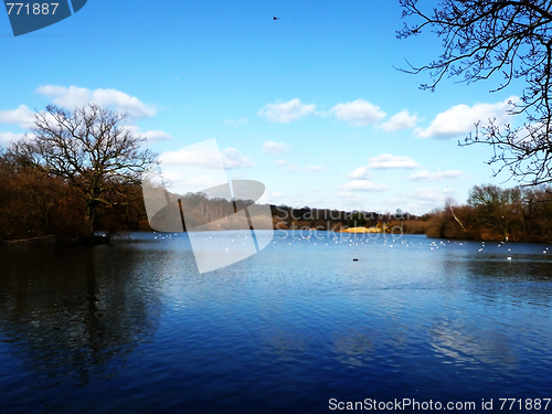 Image of Hainault Forest Water