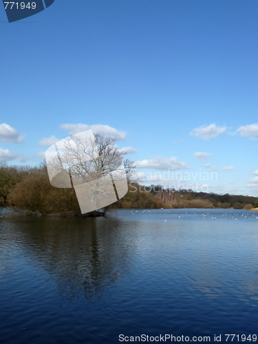 Image of Hainault Forest Water