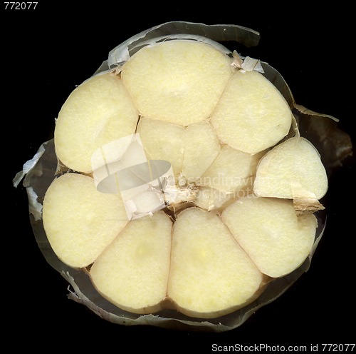 Image of garlic