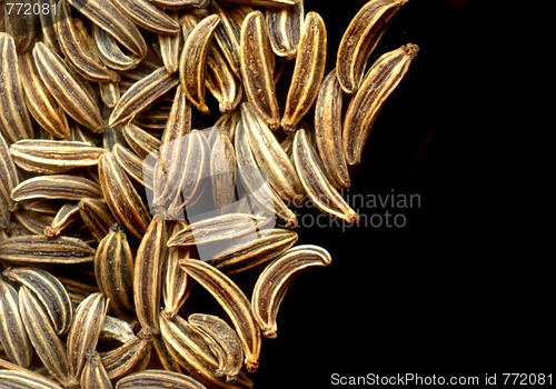 Image of caraway background