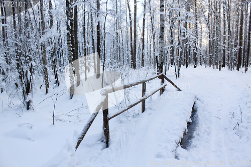 Image of The snow-covered bridge