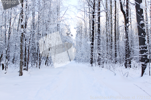 Image of Panorama of a path 