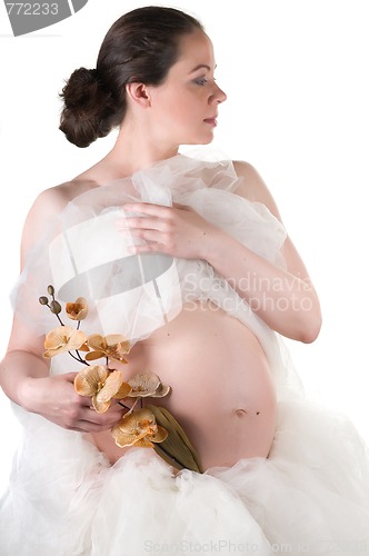 Image of Pregnant woman