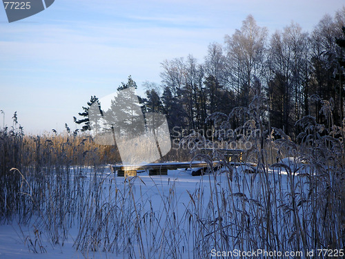 Image of Bridge in winter land