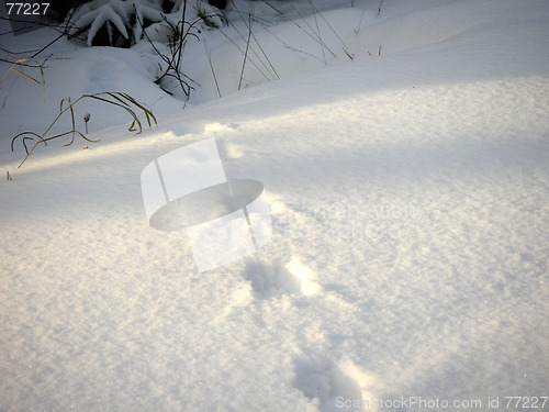 Image of Footstep in the snow