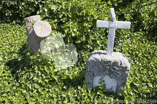 Image of Grave