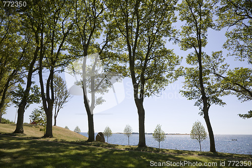 Image of Summer in Denmark