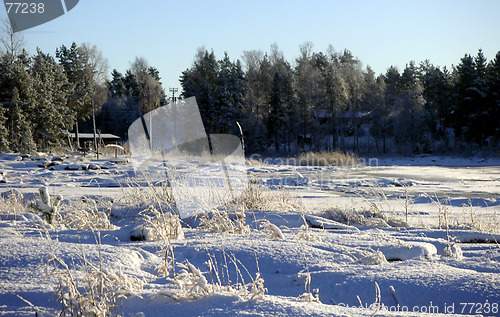 Image of Winter land