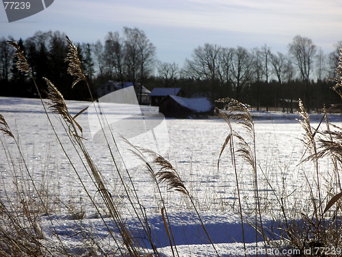 Image of Barn in the snow