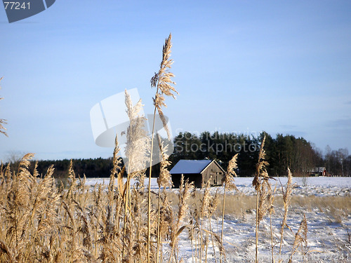 Image of Winter view